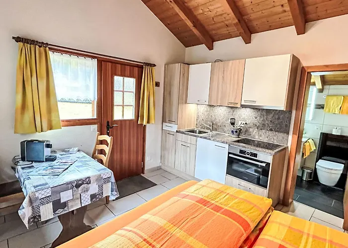 Haeuschen Stadel By Interhome * Saas-Grund